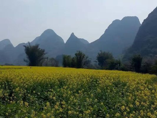 阳朔未来一周穿衣建议（阳朔现在的气温适合穿什么）