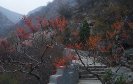 淇县天气预报（明天淇县天气预报）