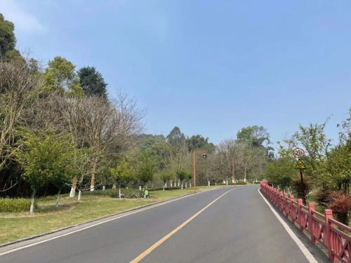 乐山天气（乐山天气实况）
