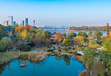 江苏南京明天天气(南京明天天气预报15天) 江苏南京明天天气(南京明天天气预报15天)