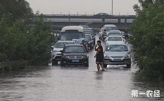 北京天气预警发布最新(北京提前发布暴雨预警) 北京天气预警发布最新(北京提前发布暴雨预警)