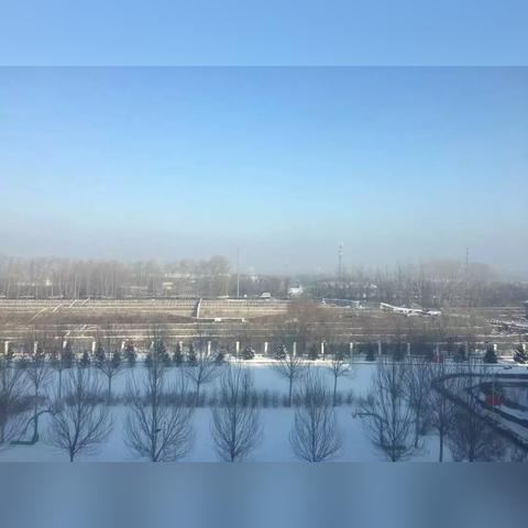 天气预报哈尔滨(天气预报哈尔滨30天) 天气预报哈尔滨(天气预报哈尔滨30天)