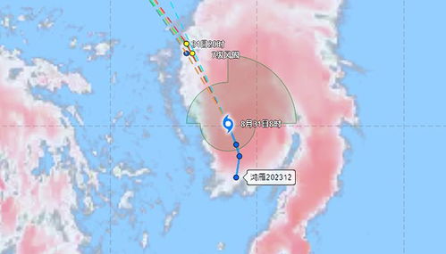 温州台风网实时路径图（温州台风网实时路径图第八号台风）