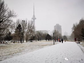 哈尔滨现在下雪了吗(2025年8月下雪的城市) 哈尔滨现在下雪了吗(2025年8月下雪的城市)