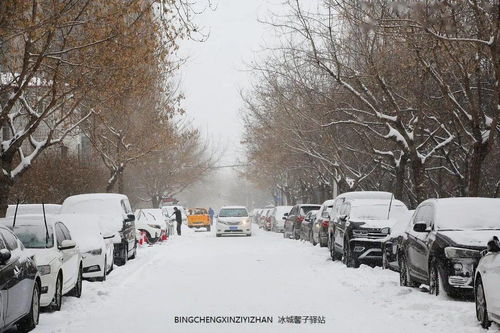 哈尔滨现在下雪了吗(2025年8月下雪的城市) 哈尔滨现在下雪了吗(2025年8月下雪的城市)